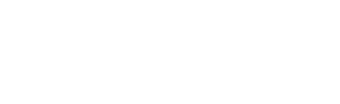 Hyundai N Virtual Cup 2026